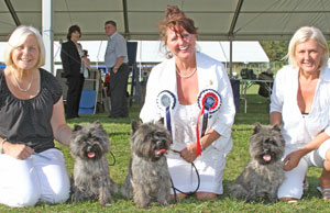 Terrier breeder group